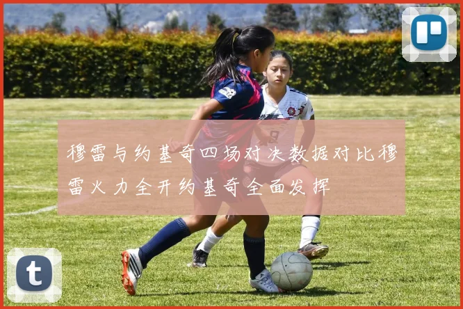 穆雷与约基奇四场对决数据对比穆雷火力全开约基奇全面发挥